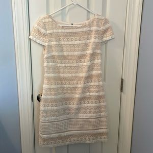 Eliza J Cream and White lace dress size 10